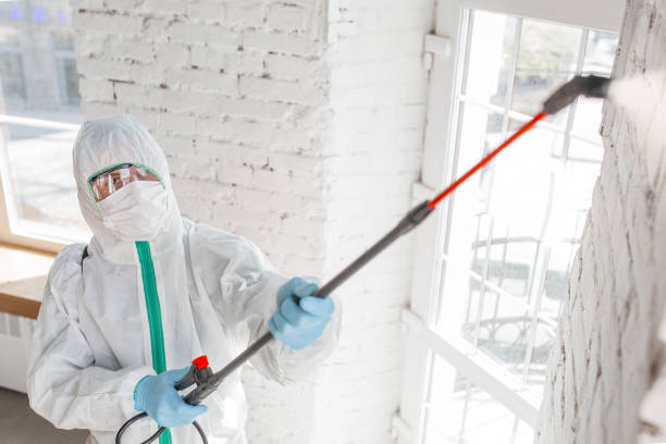 Mold Remediation for Rental Properties in North Liberty, IN